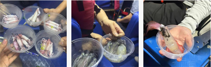 攜手博皓逐夢行,巽寮灣上展豪情—廣東博皓2025年巽寮灣之旅 -10