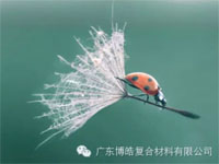 【博皓感悟】成功，要“借力”，不要“盡力”